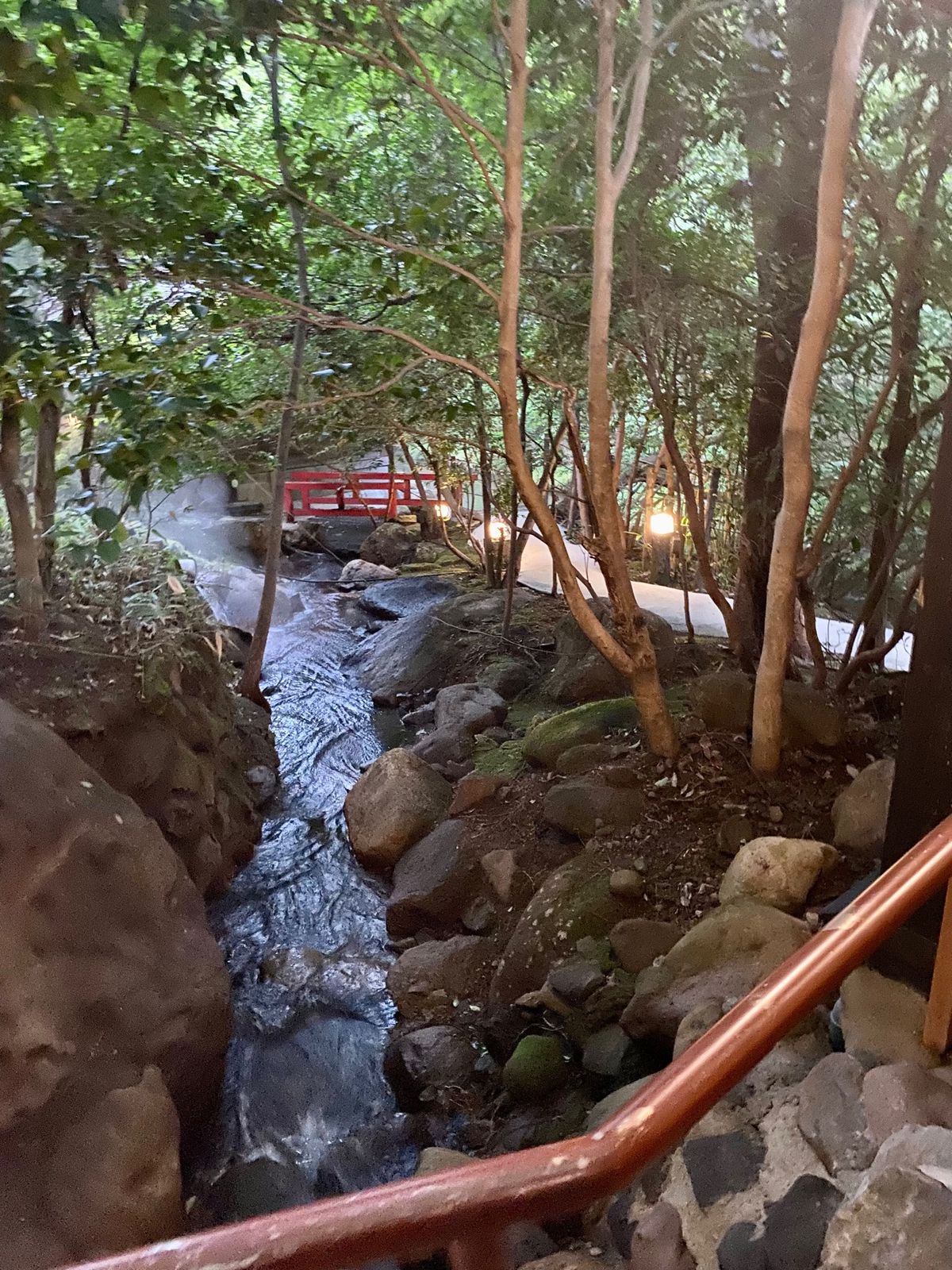 食事はすべて個室の食事処にて。
鮎、阿蘇のあか牛、郷土料理のだご汁。
山地...