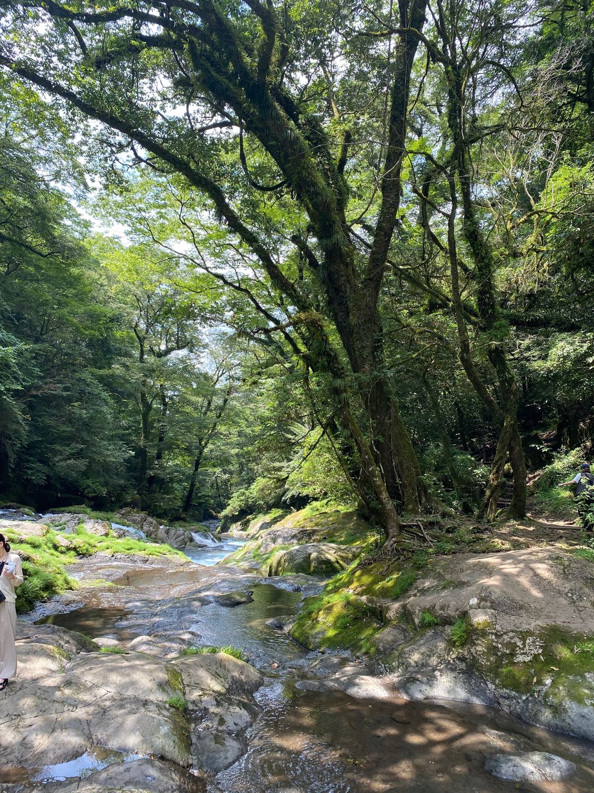 コーヒーなあとはひたすら走ります。

翌日は雨の予報が出ていたので遠回りし...