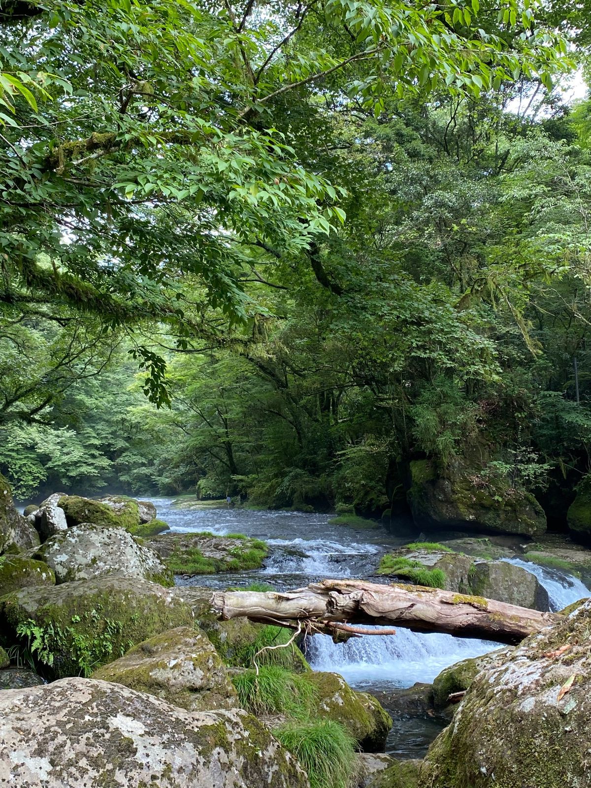 コーヒーなあとはひたすら走ります。

翌日は雨の予報が出ていたので遠回りし...