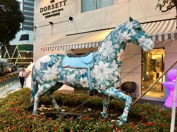 香港・跑馬地 Happy Valley「NRT ✈︎ HKG ✈︎ BKK ✈︎ HKG ✈︎ NRT」の写真：夜はカナダ人妻と、いつもの鮨へ。