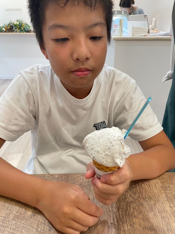 日本・宮崎県「宮崎県」の写真