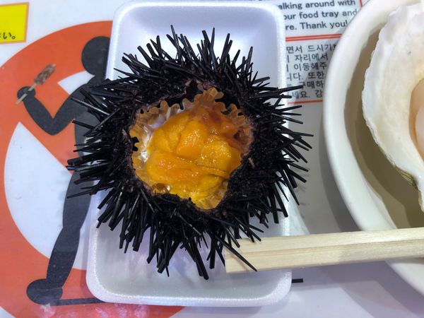 日本・石川県「石川初旅行」の写真