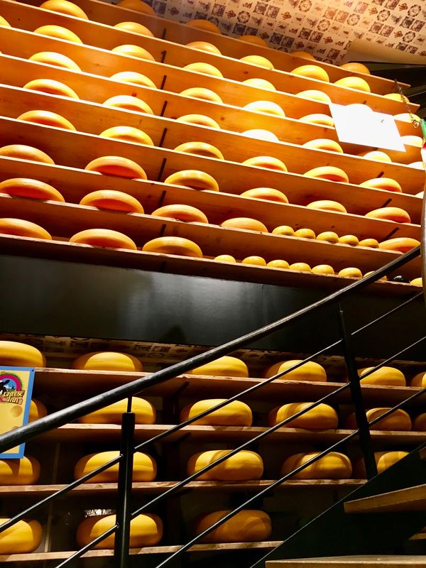 オランダ・アムステルダム「NRT ✈︎ HKG ✈︎ FRA ✈︎ AMS ✈︎ BCN ✈︎ FCO ✈︎ HKG ✈︎ NRT」の写真：ゴーダチーズとアムステルダム王宮