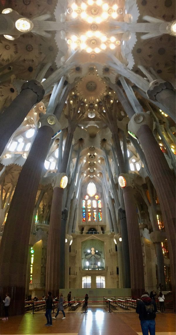 オランダ・アムステルダム「NRT ✈︎ HKG ✈︎ FRA ✈︎ AMS ✈︎ BCN ✈︎ FCO ✈︎ HKG ✈︎ NRT」の写真：サグラダ•ファミリア内