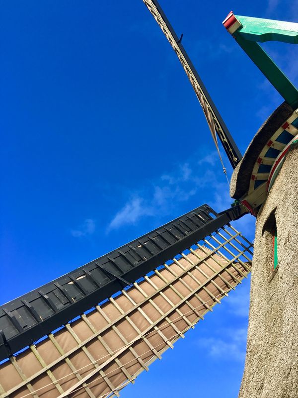 オランダ・アムステルダム「NRT ✈︎ HKG ✈︎ FRA ✈︎ AMS ✈︎ BCN ✈︎ FCO ✈︎ HKG ✈︎ NRT」の写真：風車に登って見ます。