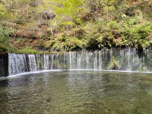 翌日は白糸の滝へ。富士にあるのよりは規模が小さいけれどなかなか良かった。