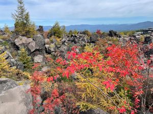 鬼押出し園は紅葉が見頃となっていました。