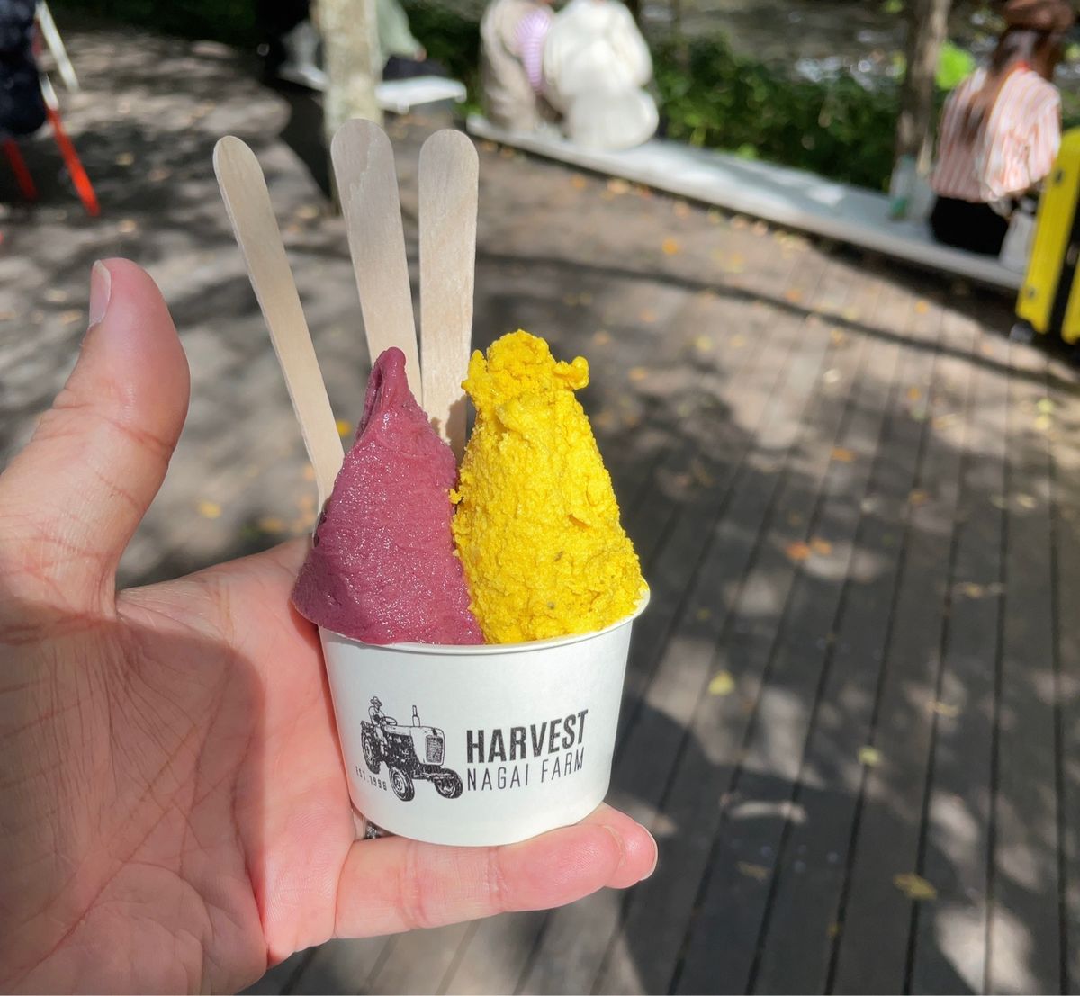 デザートにはジェラート