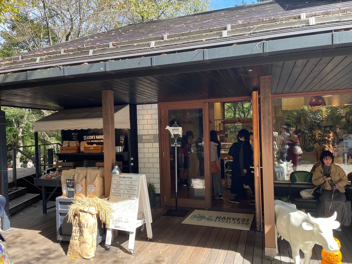 デザートにはジェラート