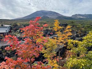 鬼押出し園は紅葉が見頃となっていました。