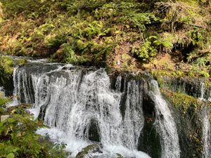 翌日は白糸の滝へ。富士にあるのよりは規模が小さいけれどなかなか良かった。