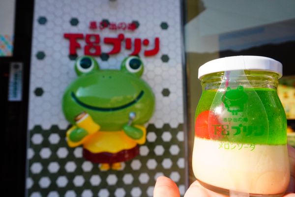 日本・下呂温泉「岐阜旅行」の写真