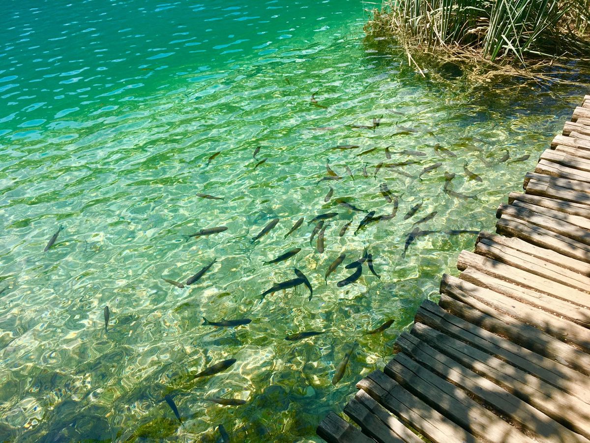 スプリトから日帰りで、世界遺産プリトヴィッツェ湖群へ。