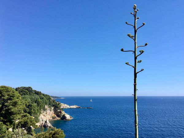 イギリス(英国)・ロンドン「NRT ✈︎ HKG ✈︎ LHR ⛐ LGW ✈︎ DBV ⛐ SPU ✈︎ FRA ✈︎ HKG ✈︎ NRT」の写真：世界遺産の旧市街