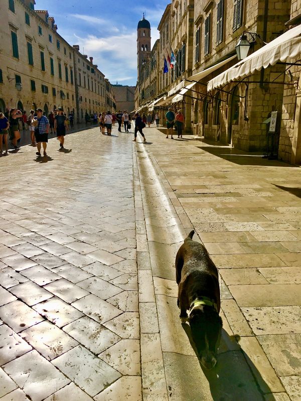 イギリス(英国)・ロンドン「NRT ✈︎ HKG ✈︎ LHR ⛐ LGW ✈︎ DBV ⛐ SPU ✈︎ FRA ✈︎ HKG ✈︎ NRT」の写真