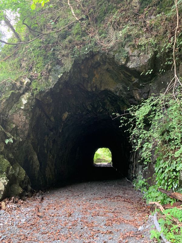 日本・滋賀県「姪の結婚式とそれから」の写真：道すがら