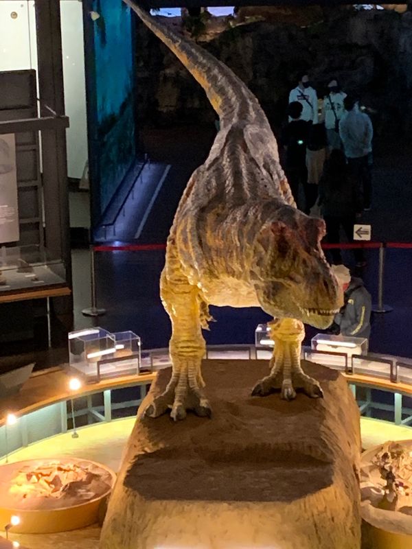 日本・福井県「福井県の旅」の写真