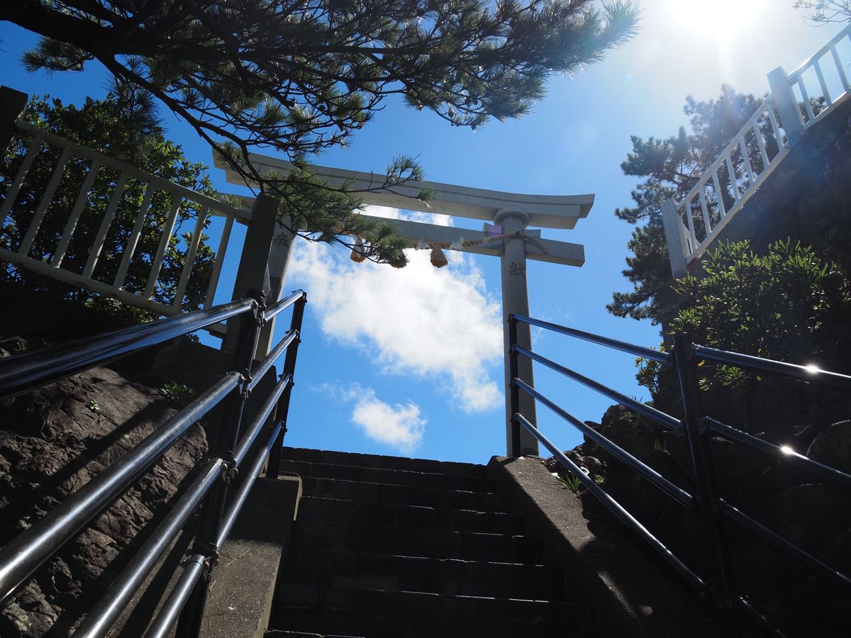 桂浜
絶景でした。