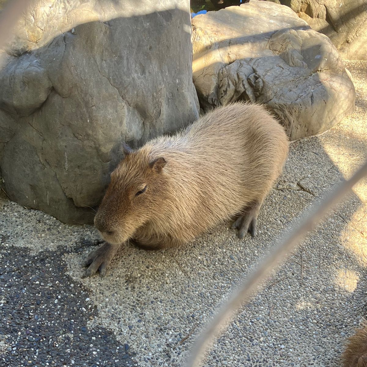桂浜水族館
何だか面白かった😂