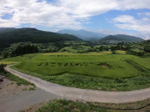 吉延の棚田
1番の目的地。

最初に行った吉延の棚田の展望台、なんか違うっ...