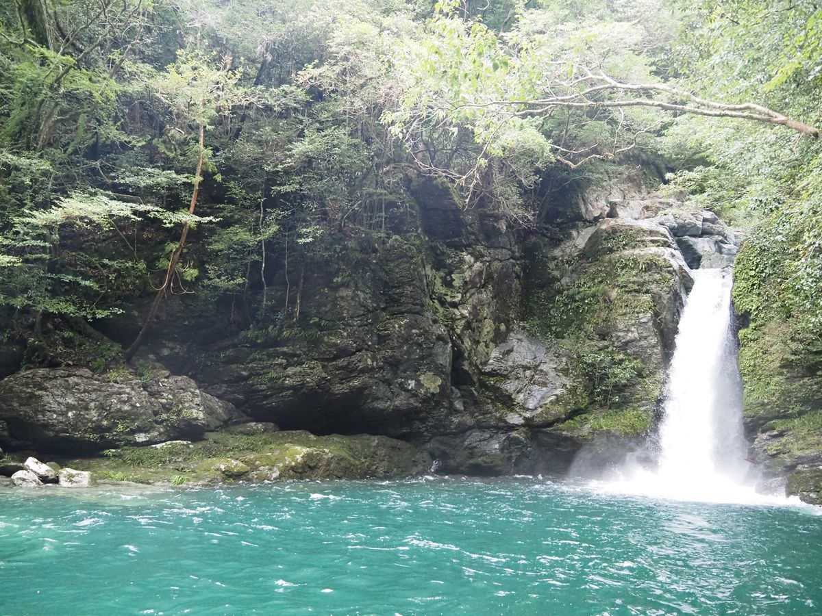 にこ淵

めちゃくちゃ水が綺麗。
道中の川も綺麗すぎて大感動！