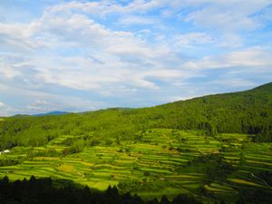 吉延の棚田
1番の目的地。

最初に行った吉延の棚田の展望台、なんか違うっ...