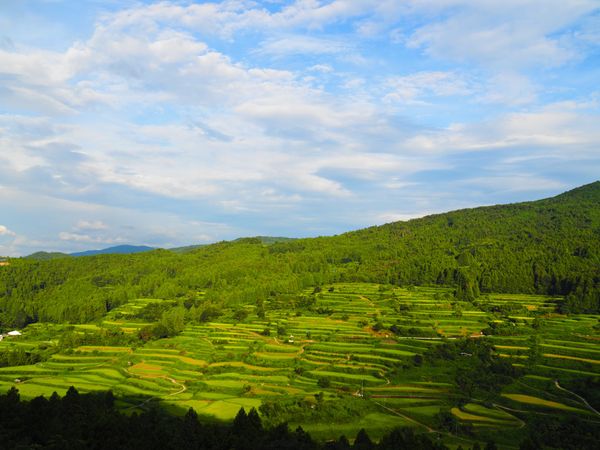 日本・高知「高知旅行」の写真：吉延の棚田
1番の目的地。

最初に行っ...