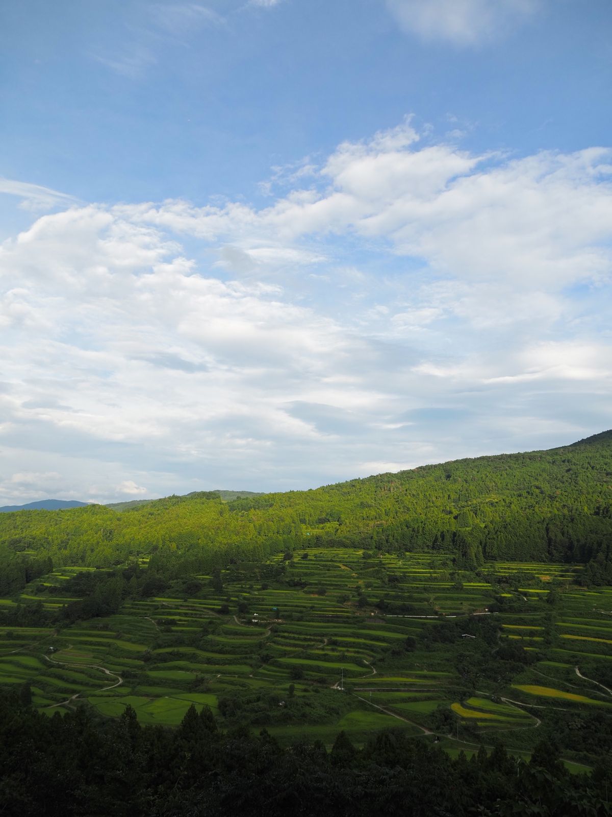 吉延の棚田
1番の目的地。

最初に行った吉延の棚田の展望台、なんか違うっ...