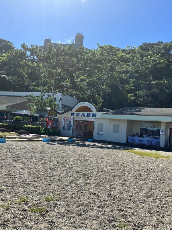 日本・高知「高知旅行」の写真：桂浜水族館
何だか面白かった😂