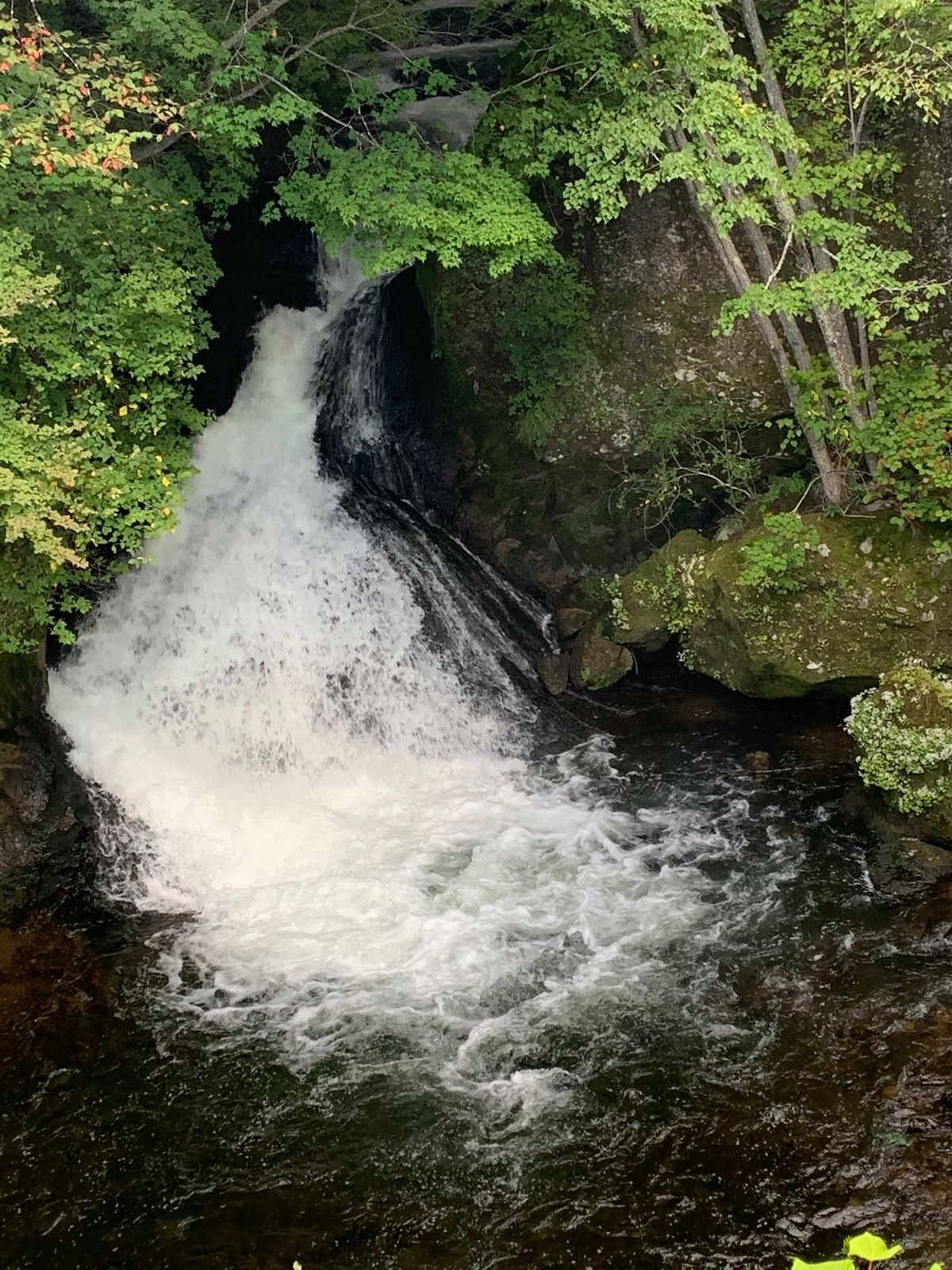 戦場ヶ原と竜頭の滝