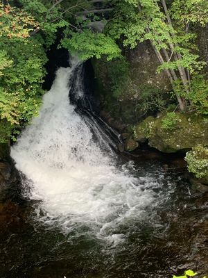 戦場ヶ原と竜頭の滝