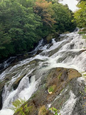 戦場ヶ原と竜頭の滝