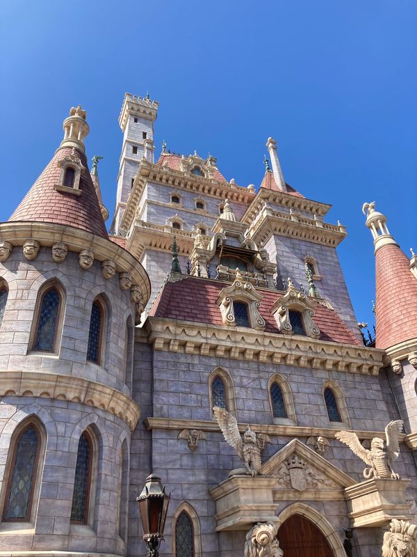 日本・千葉県「40周年ディズニーランド」の写真