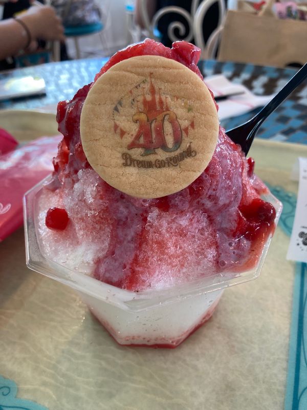 日本・千葉県「40周年ディズニーランド」の写真