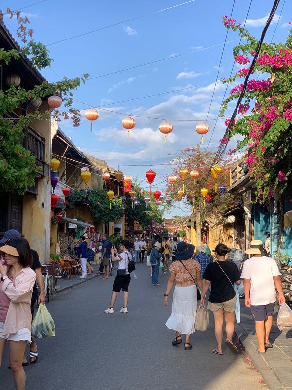 ベトナム・ダナン・ハノイ「ベトナム」の写真