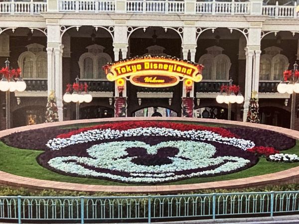 日本・千葉県「ディズニークリスマス」の写真
