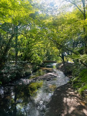 湯の坪街道から金鱗湖へ