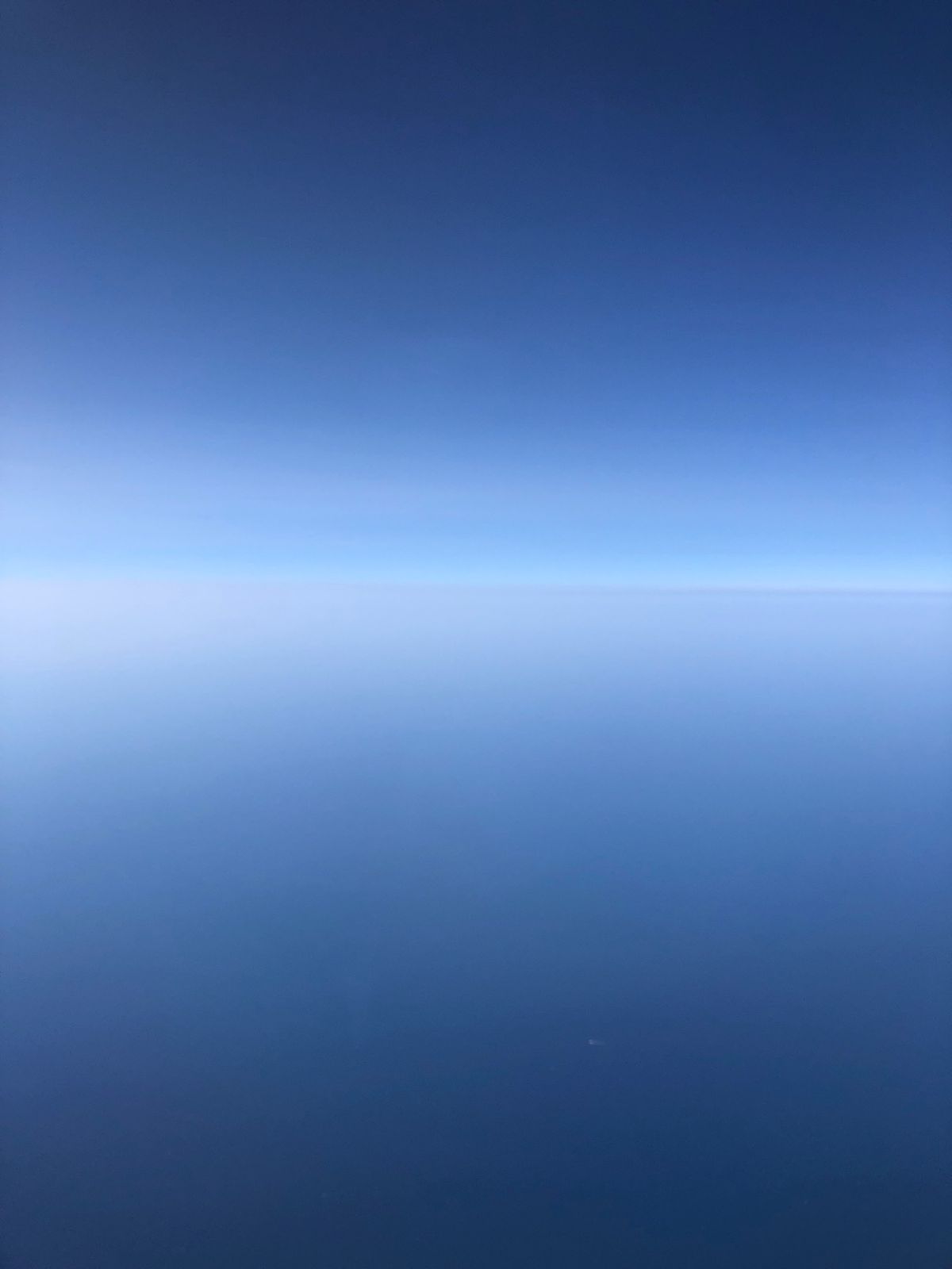 最後にお食事はと聞かれましたが、それほどお腹は空いていないので、フルーツに...