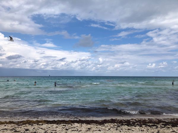 アメリカ(米国)・ニューヨーク「2022.04 ORD.MIA.JFK」の写真：さすがに4月末では肌寒く、海もあまりキレ...