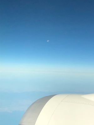 空の上はいつもお天気です

軽くエコmeal食べたら、松山に着きました