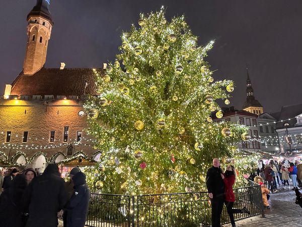 エストニア・タリン「バルト三国旅行　エストニア」の写真：クリスマスマーケットはラエコヤ広場で