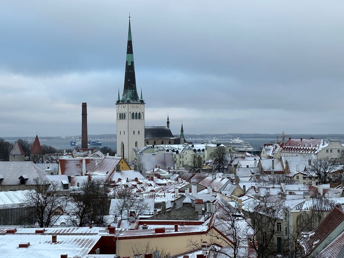 世界遺産「タリン歴史地区」
友人の牛と再会（笑）