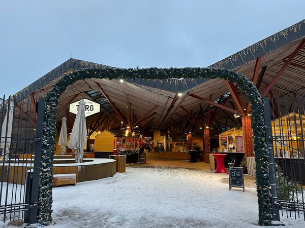 エストニア・タリン「バルト三国旅行　エストニア」の写真：ヴァルティマーヤ市場
冬に食べるアイスも中々