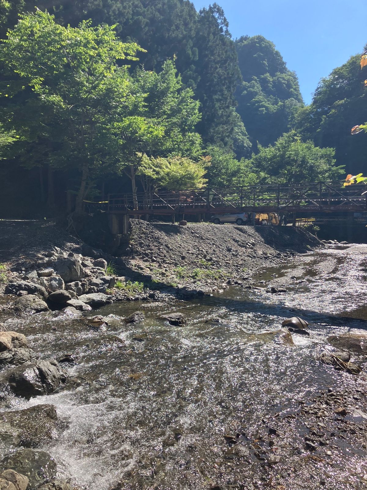 川遊びさいこー