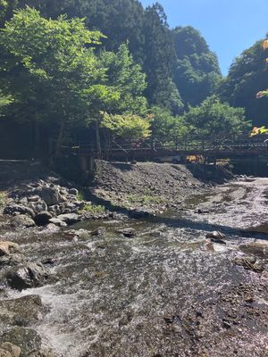 川遊びさいこー