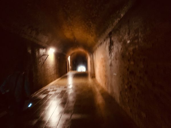 日本・神奈川県横須賀市「猿島探検」の写真：歴史を詰まってる小さい無人島