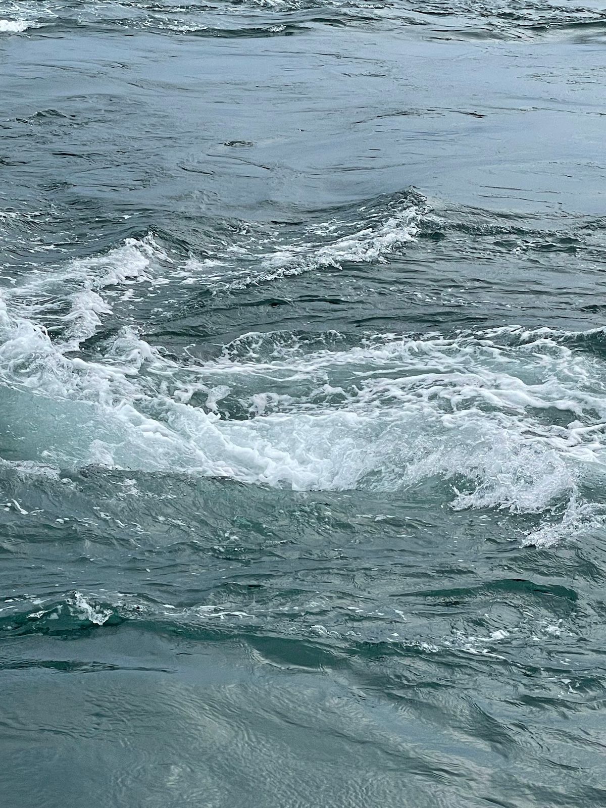 うずしお楽しい😀