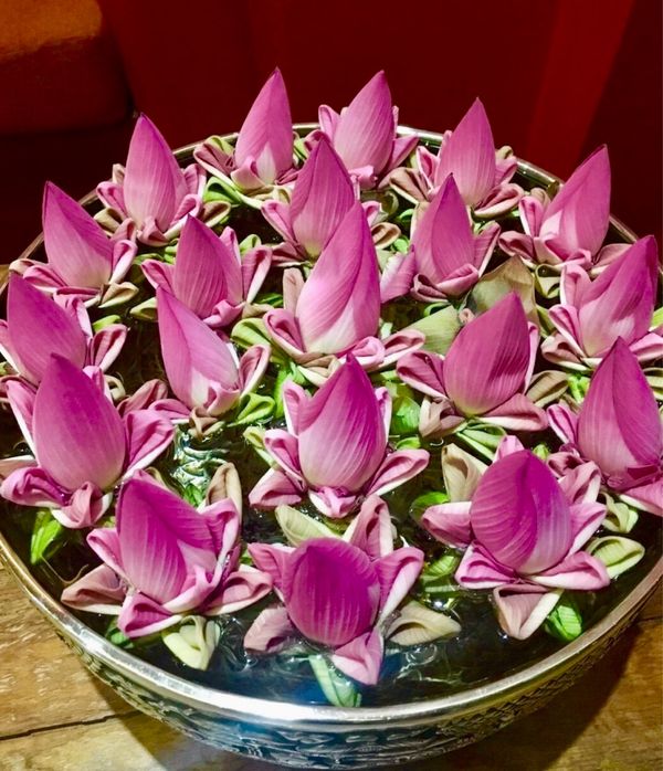 香港・跑馬地 Happy Valley「NRT ✈︎ HKG ✈︎ REP ✈︎ HKG ✈︎ HND」の写真：最後の夜はファインダイニングでクメール料理