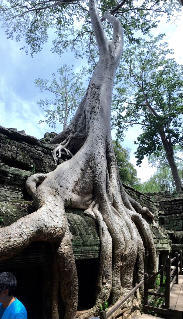 香港・跑馬地 Happy Valley「NRT ✈︎ HKG ✈︎ REP ✈︎ HKG ✈︎ HND」の写真：南大門から山道を歩いてタ•プロームへ。