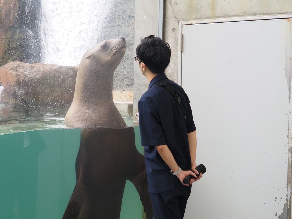 他の魚たちも可愛い。
カメラがいいと、水族館も楽しい♡